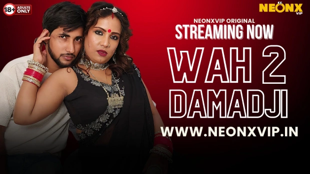 Wah Damad Ji 2 2024 NeonX Originals Uncut Hindi Short Film