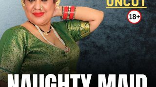 Naughty Maid NeonX Hindi Hot Short Film